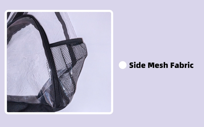 Clear Crossbody Bag